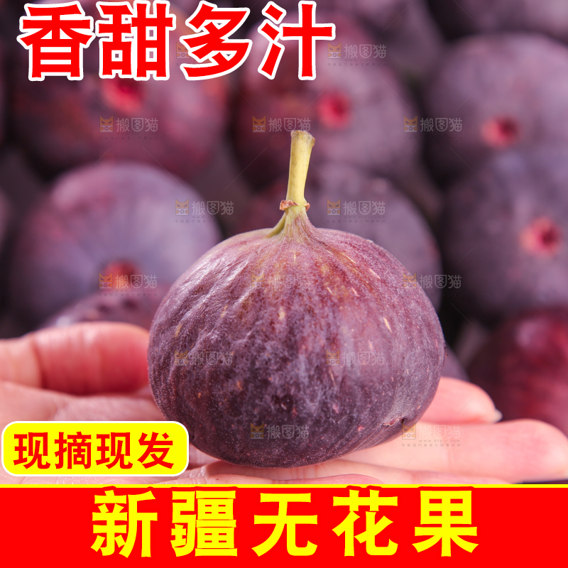 浅底上的无花果