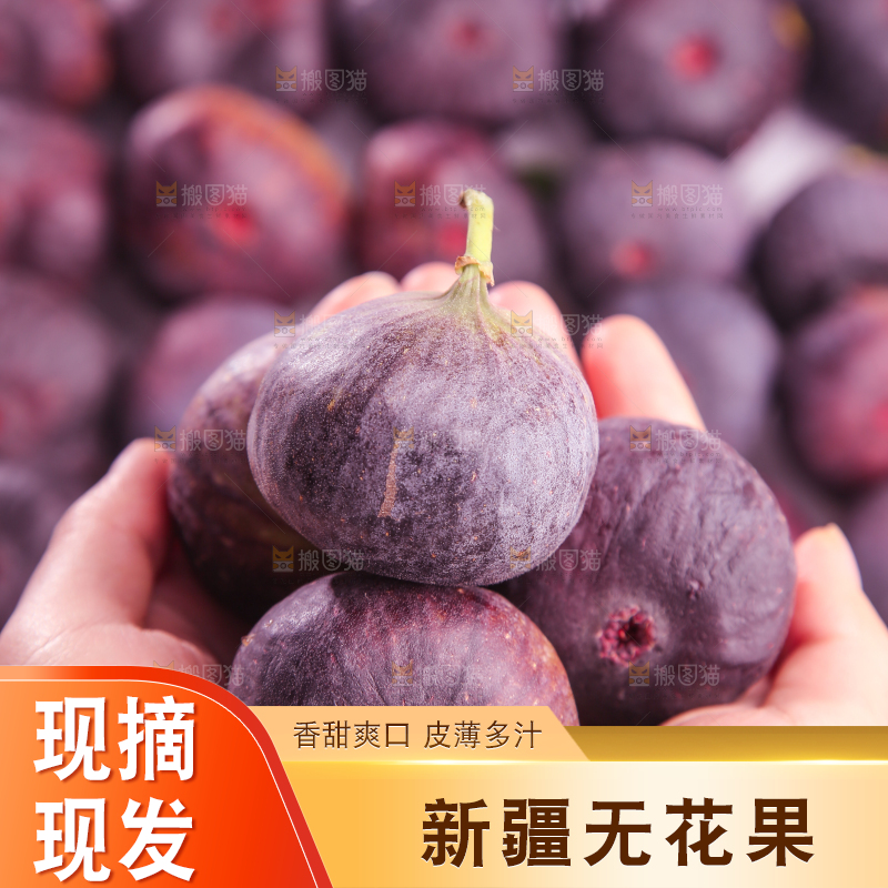 浅底上的无花果