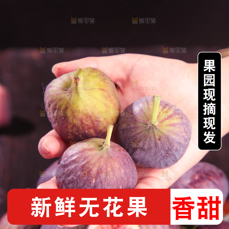 深底上的无花果