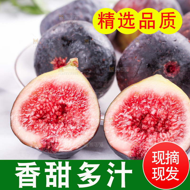 浅底上的无花果
