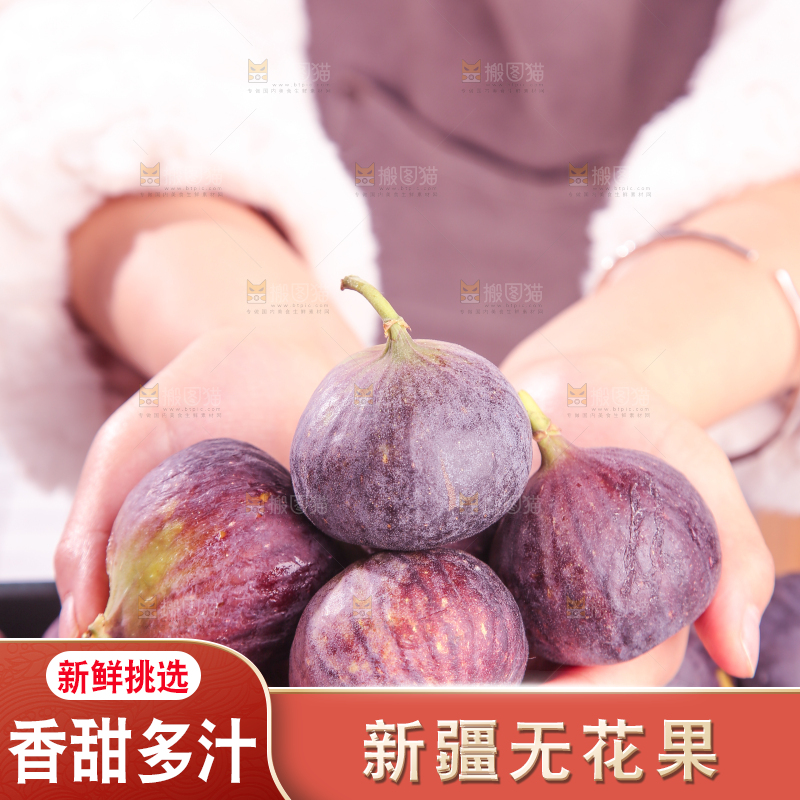 浅底上的无花果