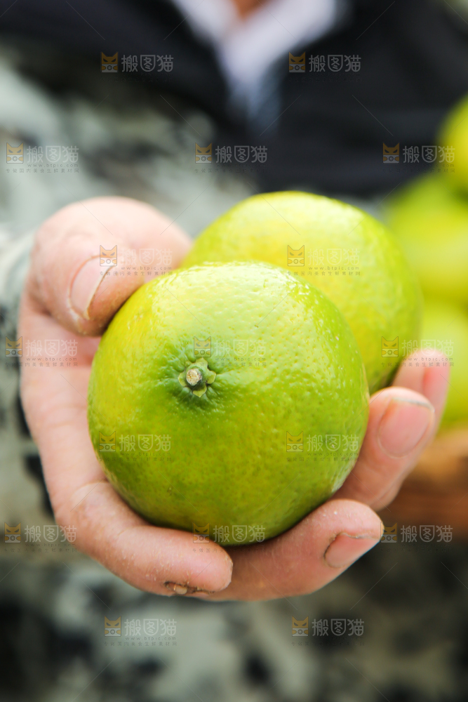 手里拿着建阳桔柚