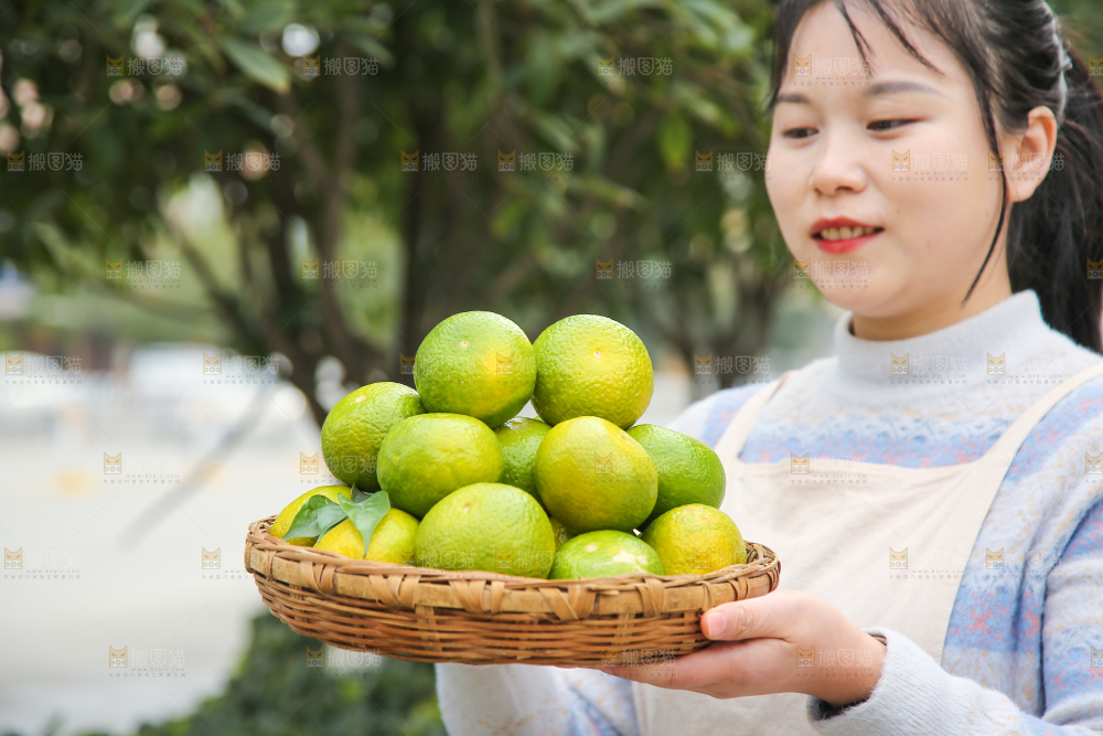 手里拿着建阳桔柚
