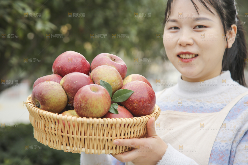 手里拿着丑苹果