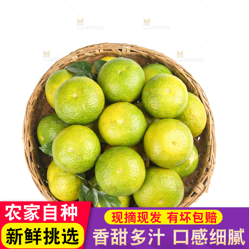 白底上的桔柚