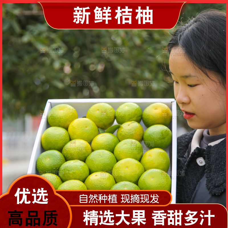 手里拿着建阳桔柚
