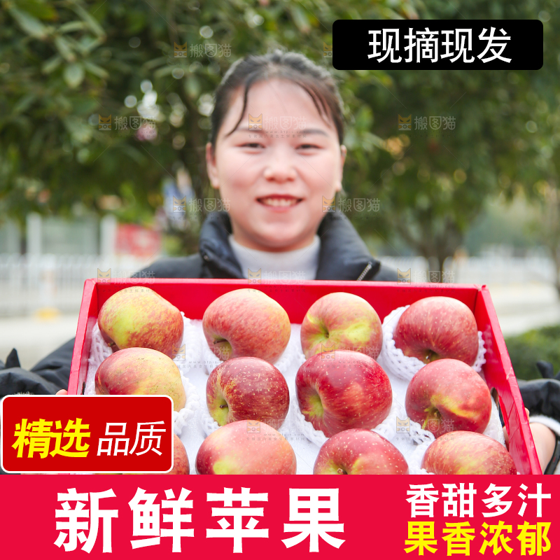手里拿着丑苹果