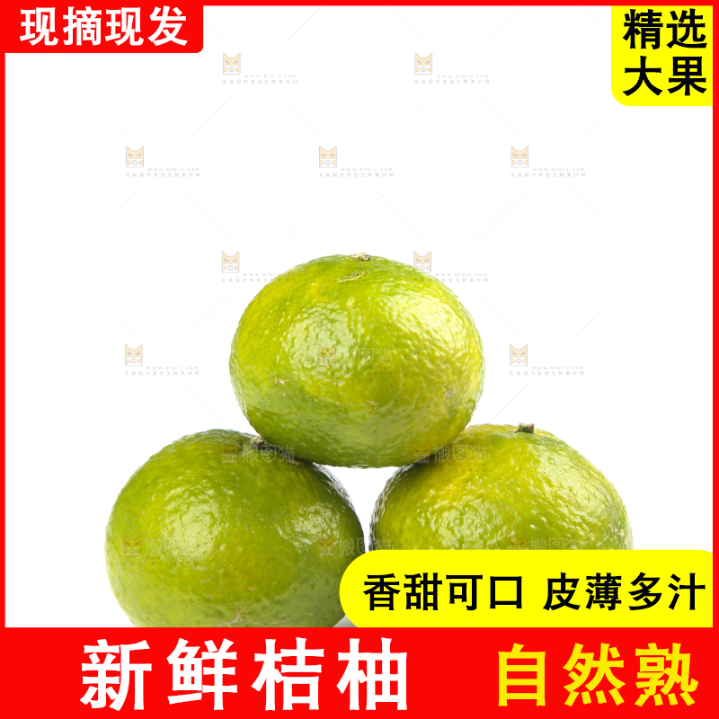 白底上的桔柚