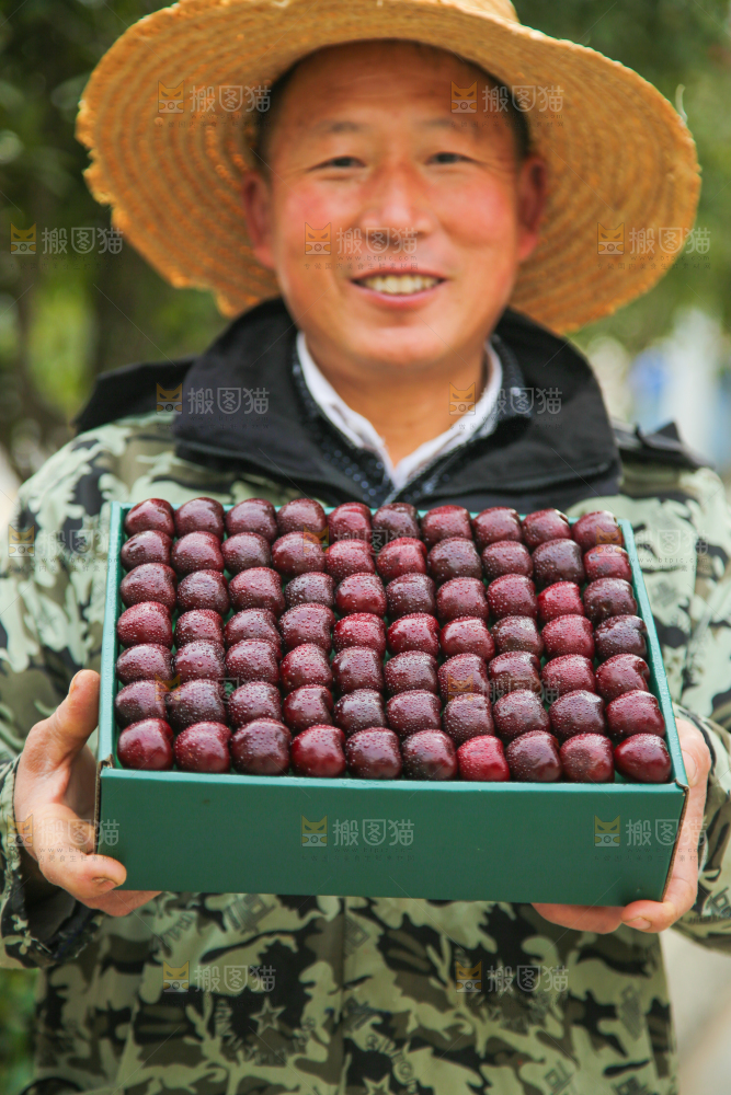 手里拿着车厘子