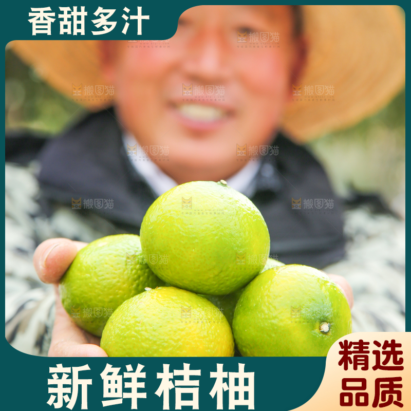 手里拿着建阳桔柚