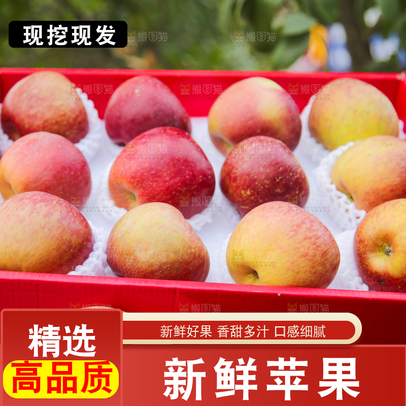手里拿着丑苹果