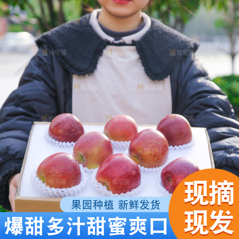 手里拿着丑苹果