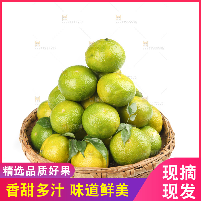 白底上的桔柚