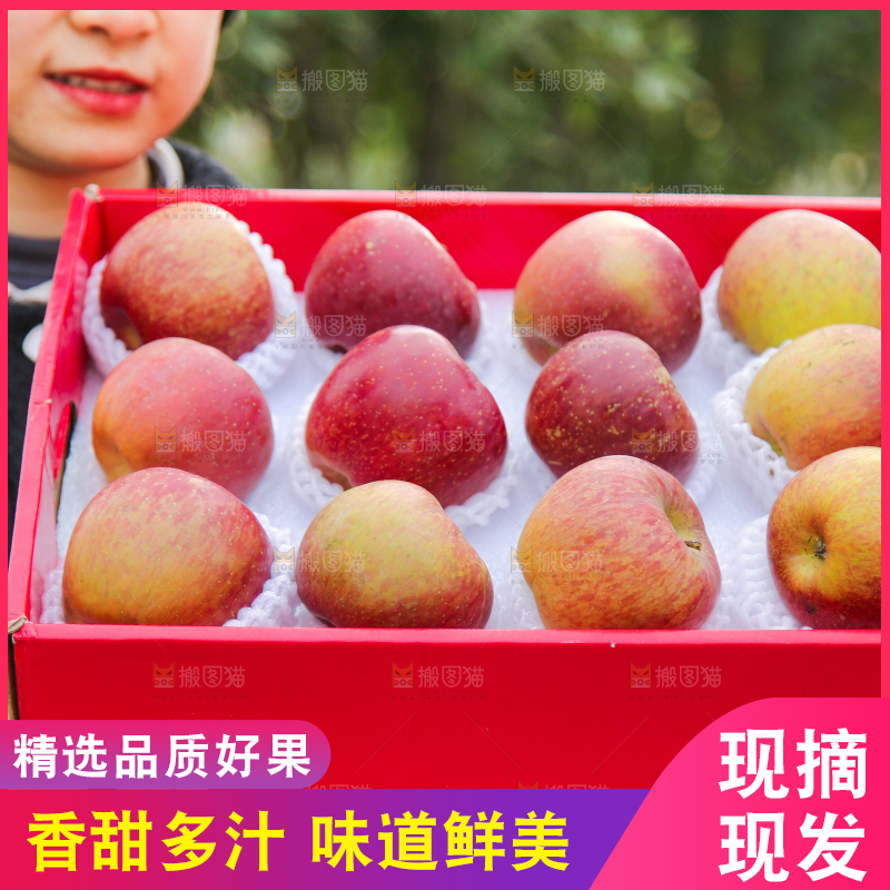 手里拿着丑苹果