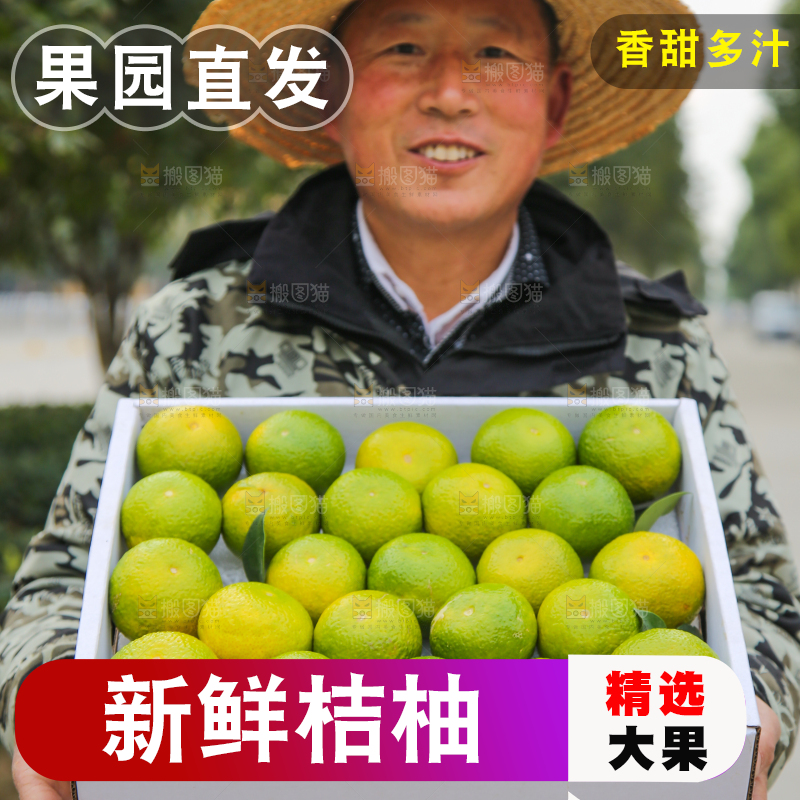 手里拿着建阳桔柚