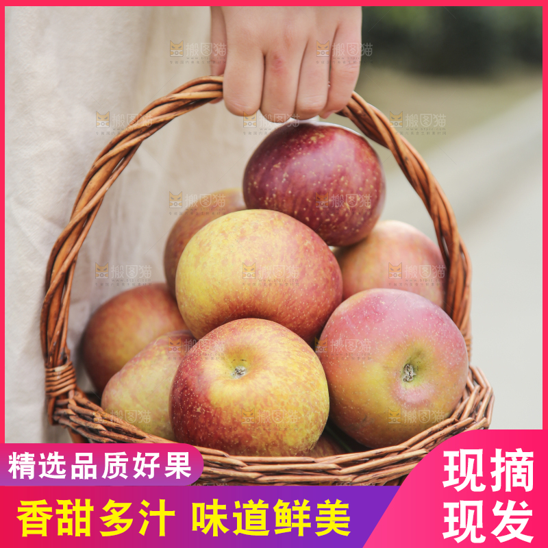 手里拿着丑苹果