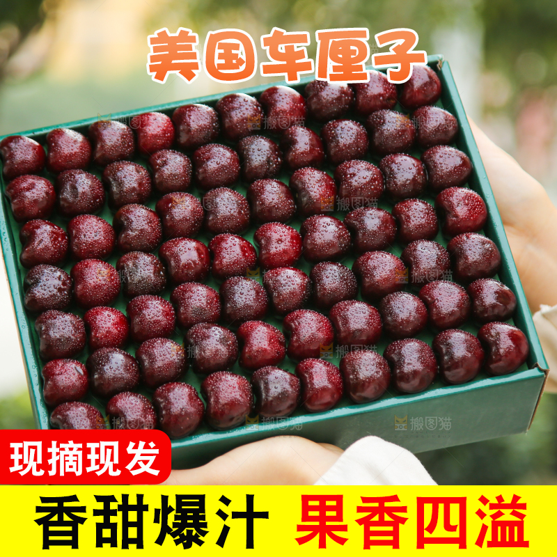 手里拿着车厘子