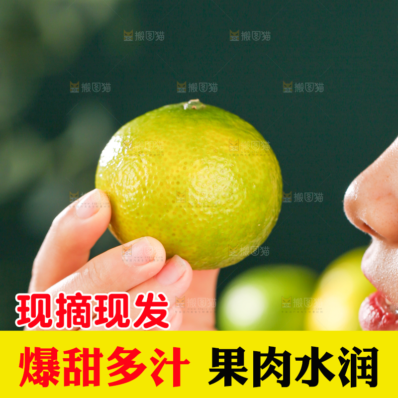 深底上的建阳桔柚