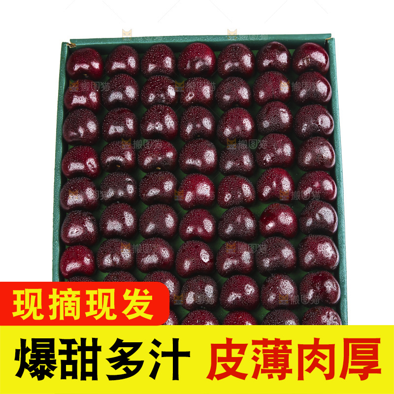 白底上的车厘子
