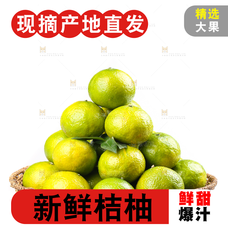 白底上的桔柚