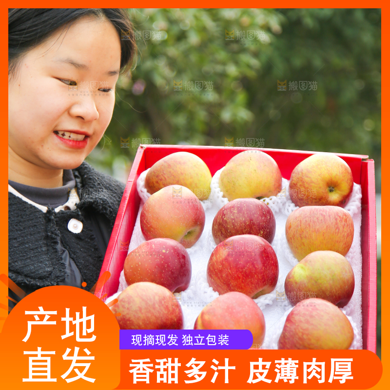 手里拿着丑苹果