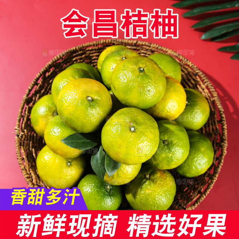 深底上的建阳桔柚
