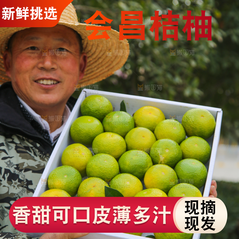 手里拿着建阳桔柚