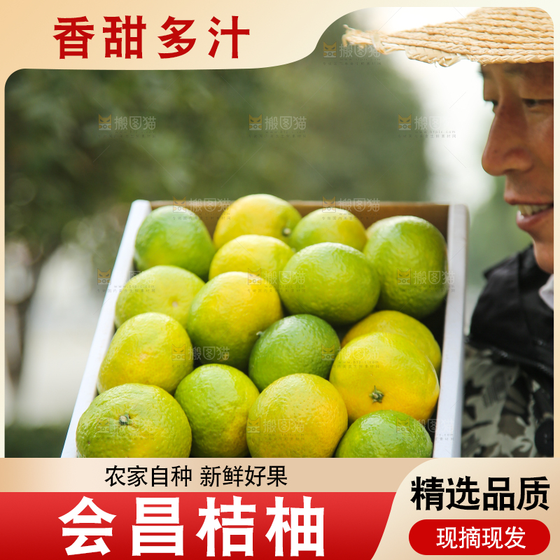 手里拿着建阳桔柚