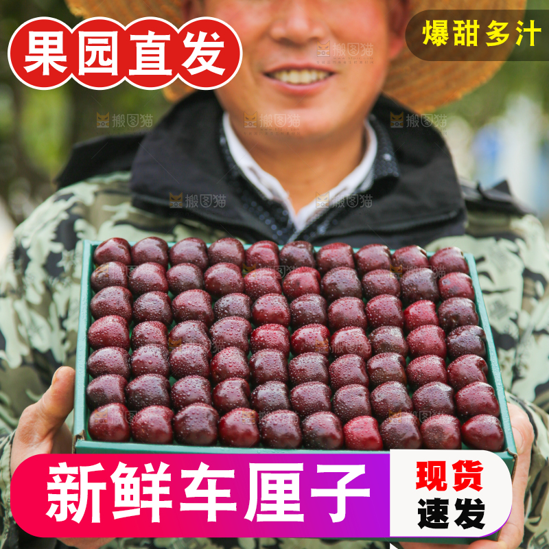 手里拿着车厘子