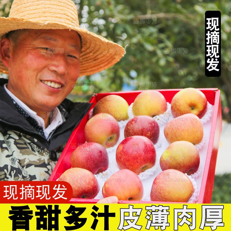 手里拿着丑苹果