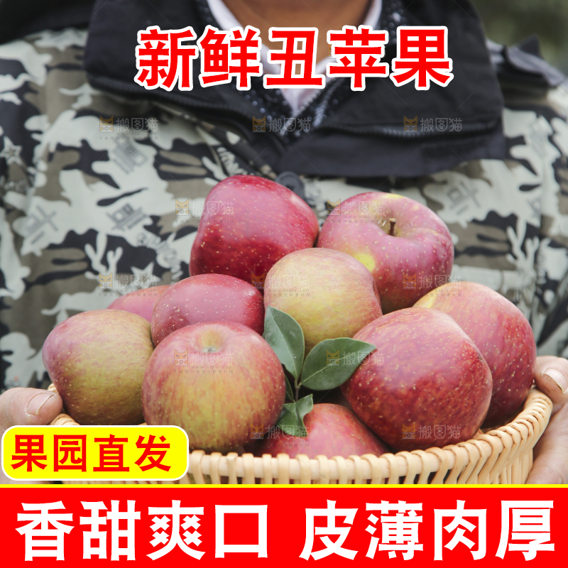 手里拿着丑苹果