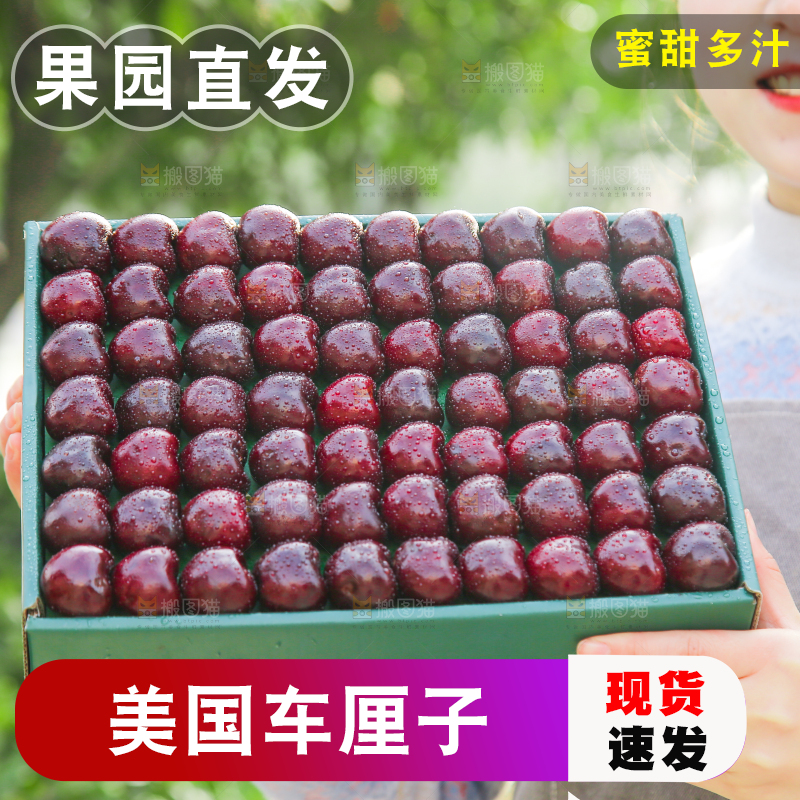 手里拿着车厘子