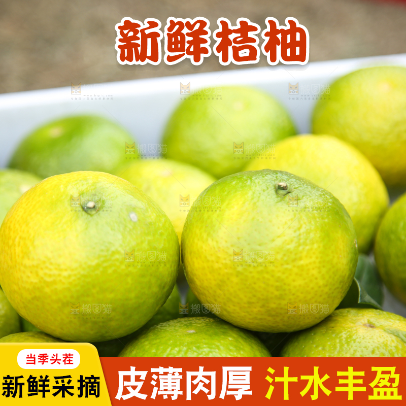 深底上的建阳桔柚