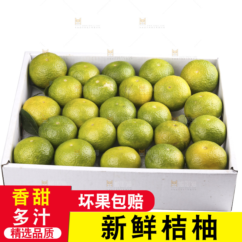 白底上的桔柚
