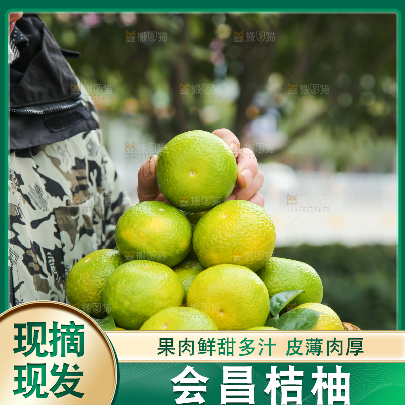手里拿着建阳桔柚