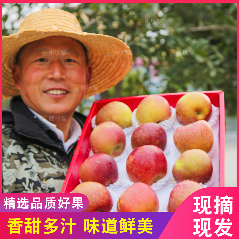 手里拿着丑苹果