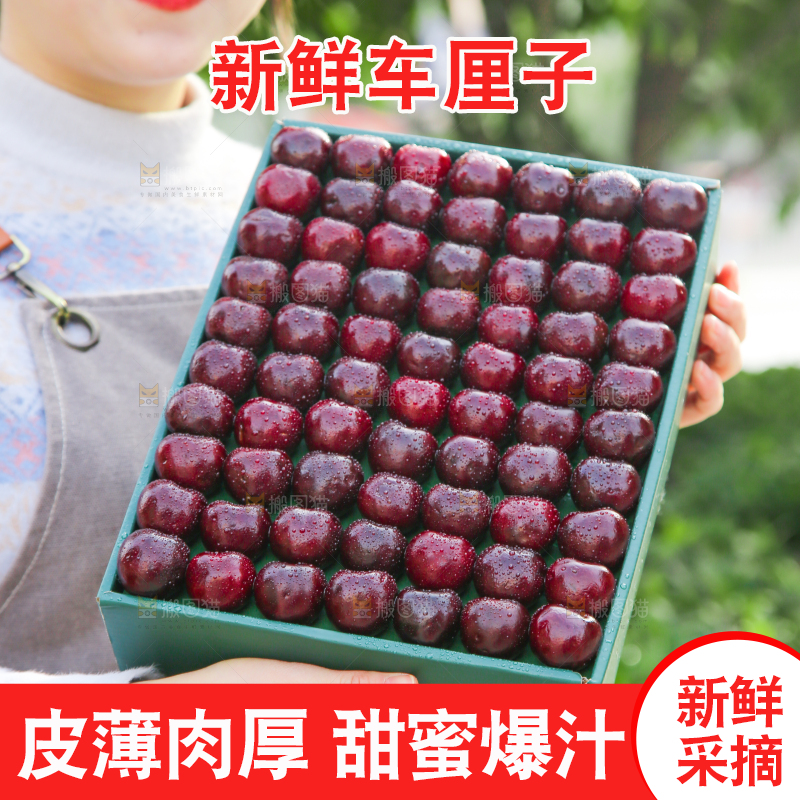 手里拿着车厘子