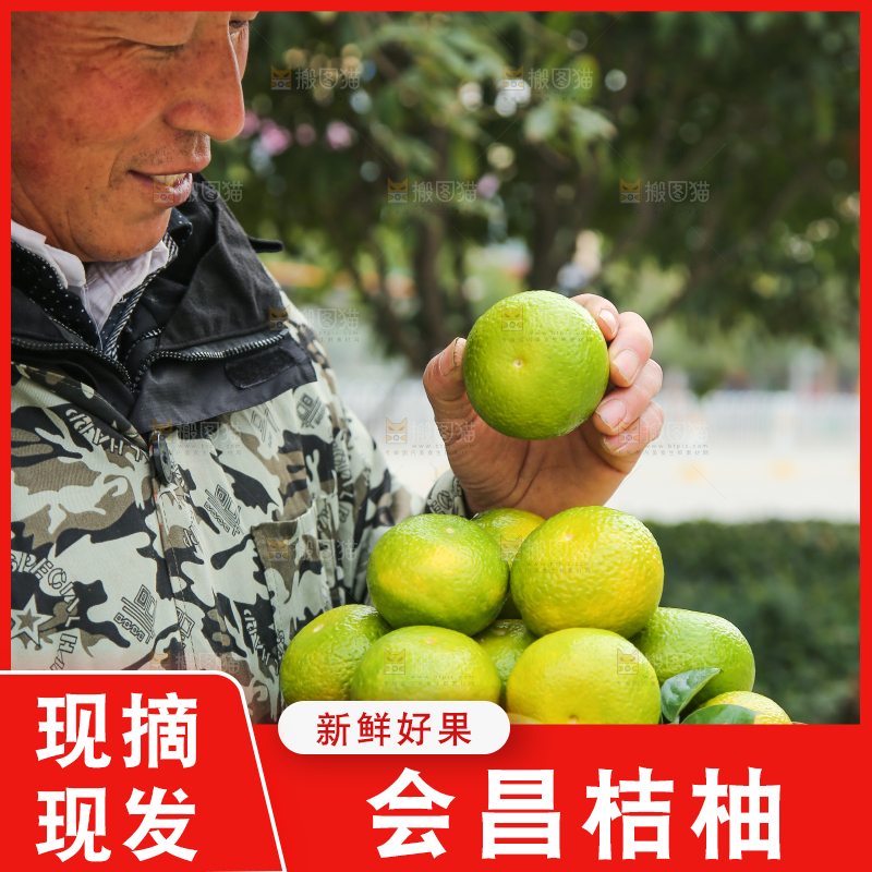手里拿着建阳桔柚