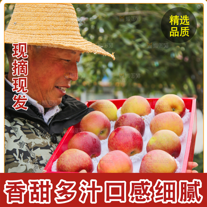 手里拿着丑苹果