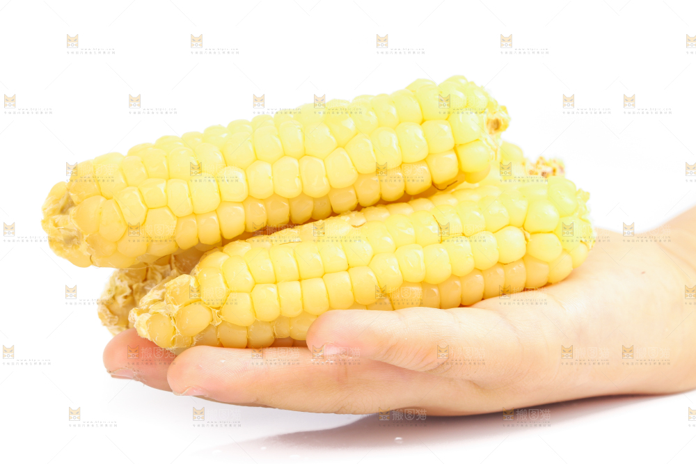 白底上的手指糯玉米