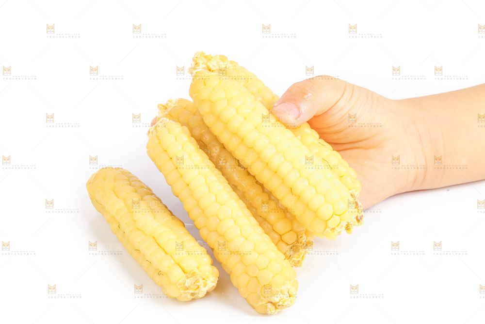 白底上的手指糯玉米