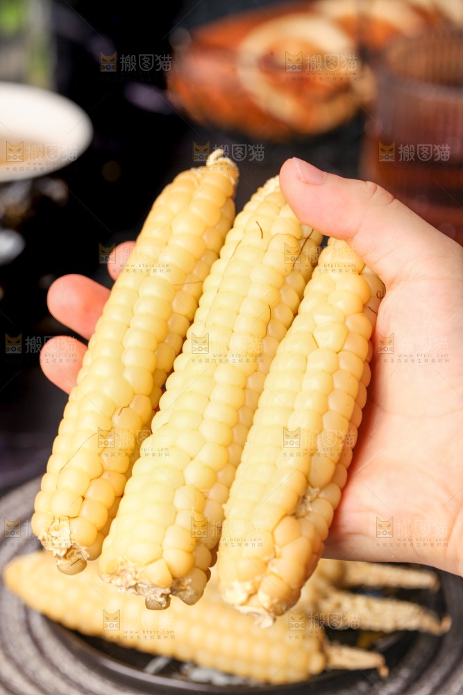 深底上的拇指小玉米