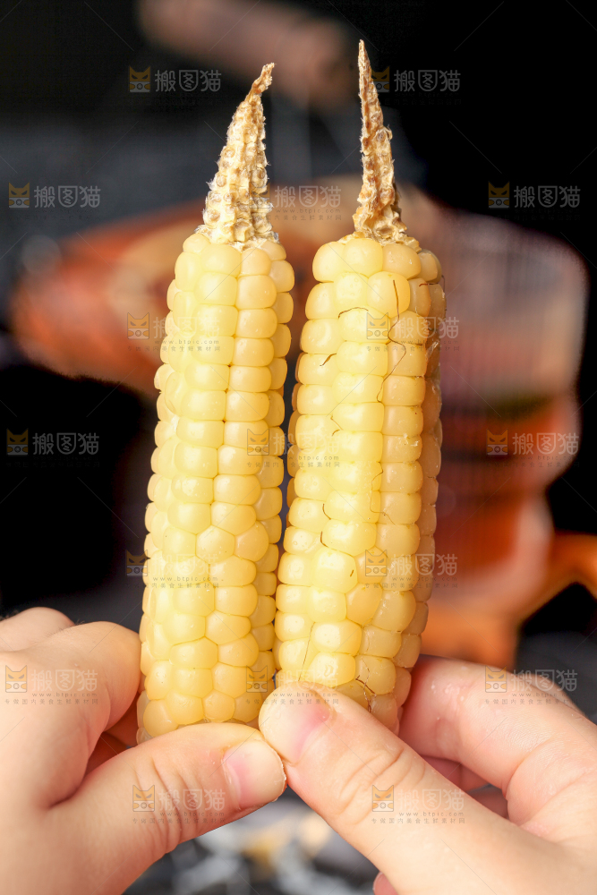 深底上的拇指小玉米