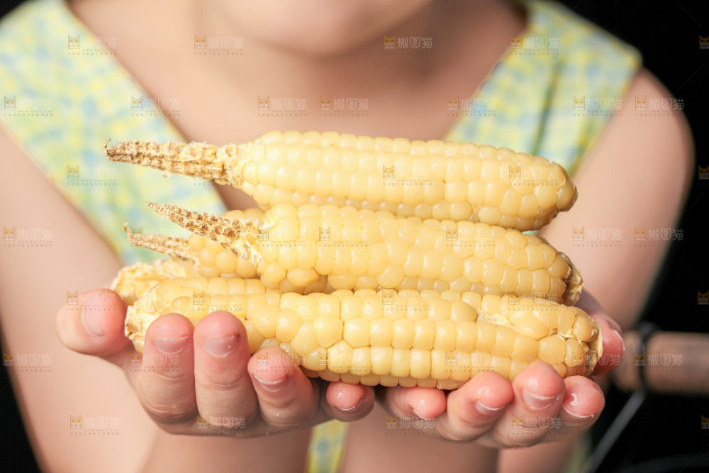 深底上的拇指小玉米