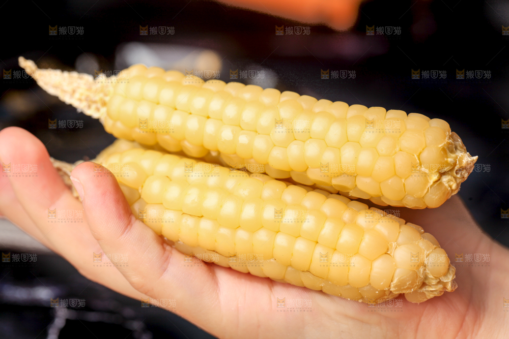 深底上的拇指小玉米