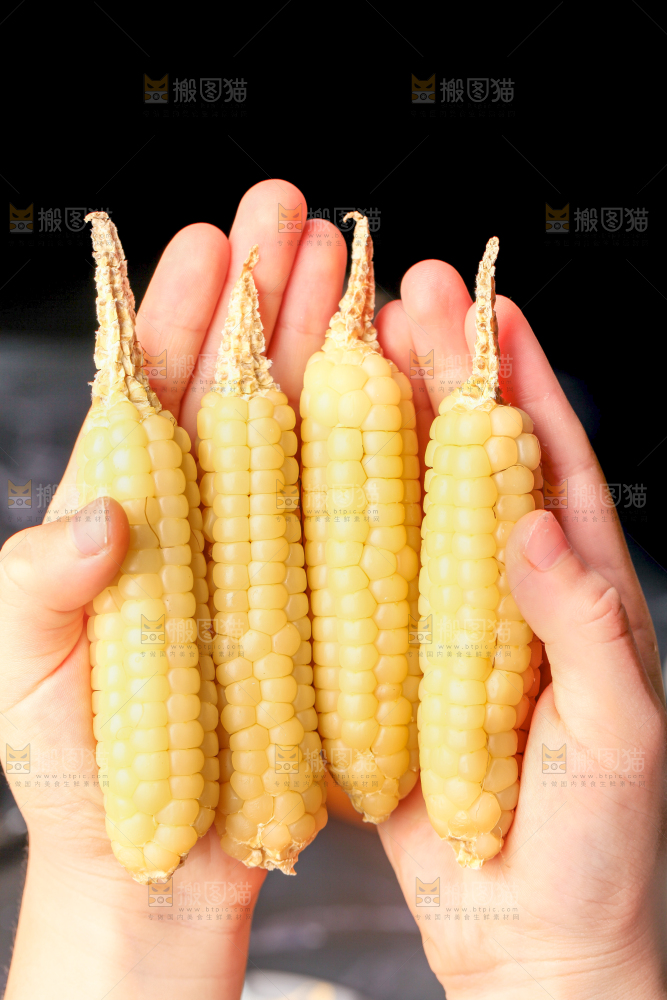 深底上的拇指小玉米
