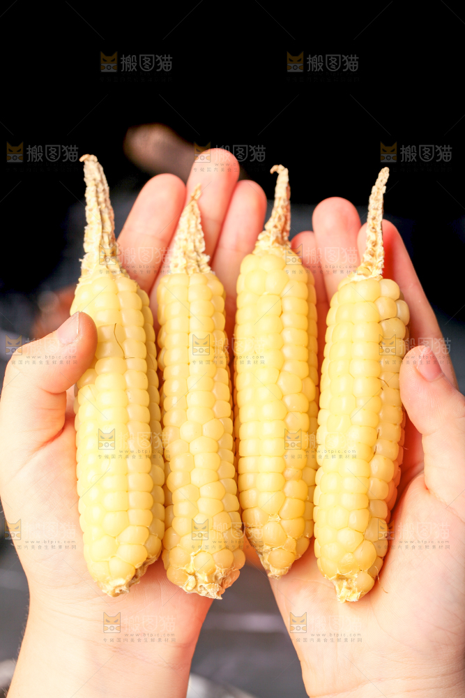 深底上的拇指小玉米