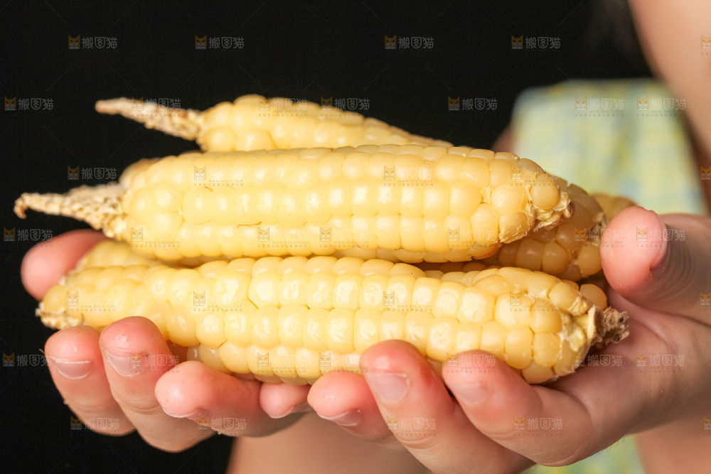 深底上的拇指小玉米