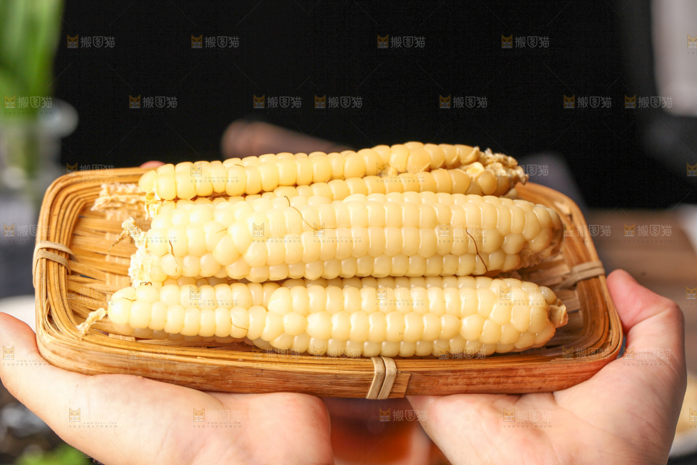 深底上的拇指小玉米