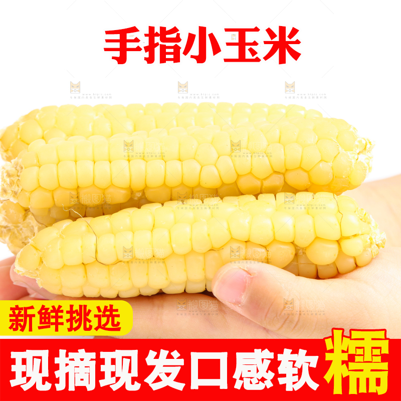白底上的手指糯玉米